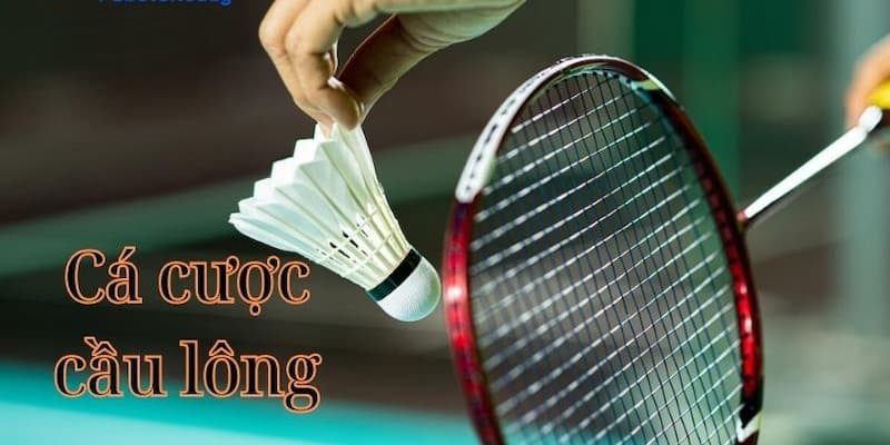 Cá Cược Cầu Lông Tổng quan về Cá Cược Cầu Lông